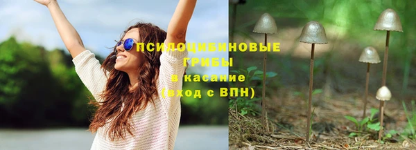 бошки Алзамай