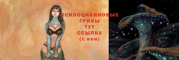 PSILOCYBIN Навашино