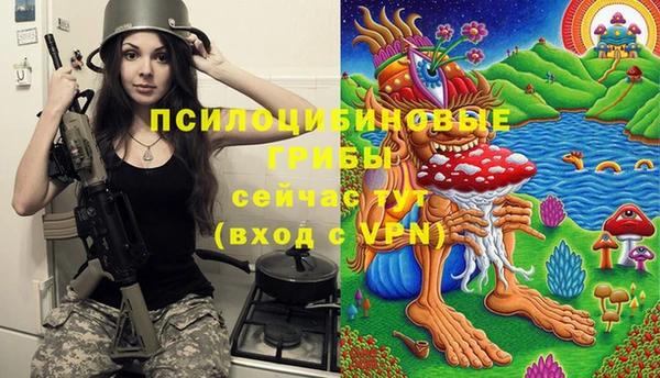 ALPHA PVP Алексин