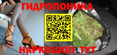 PSILOCYBIN Туймазы