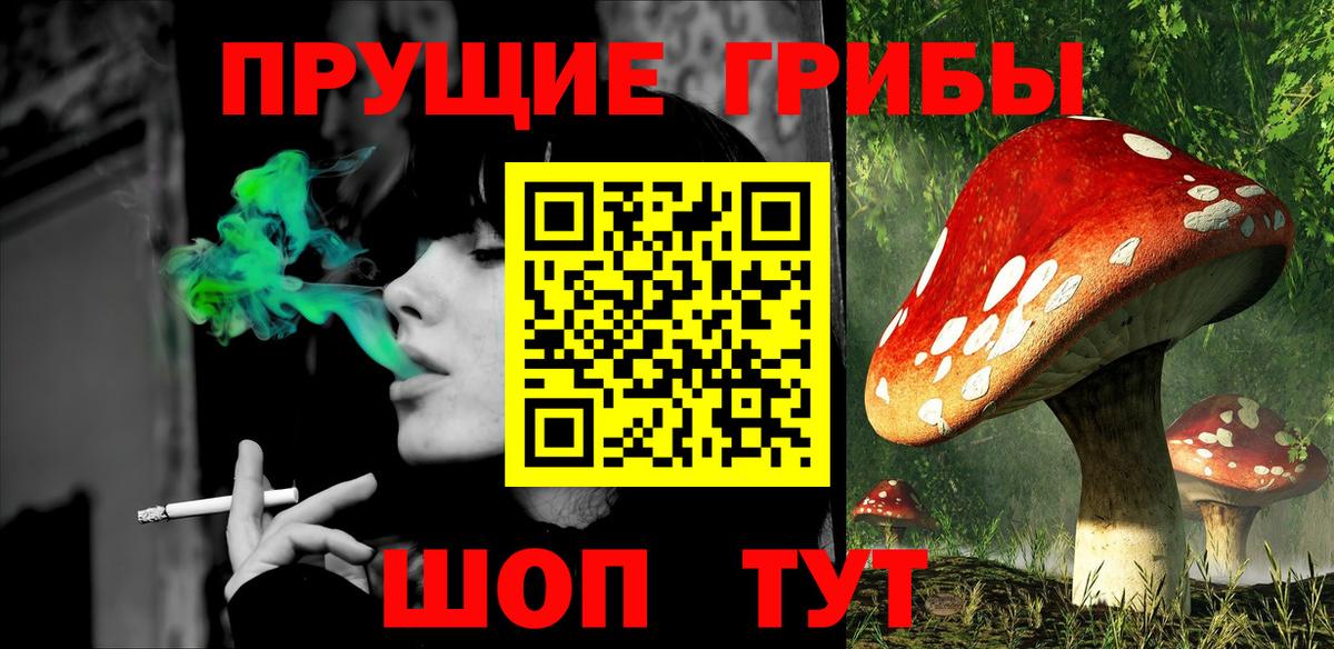 Петрозаводск  Галлюциногенные грибы прущие грибы  наркота  Вход с VPN 